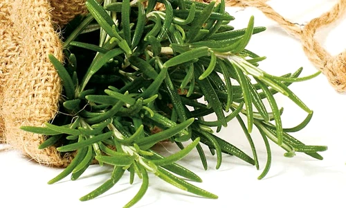 1 69194 original jpg jpeg