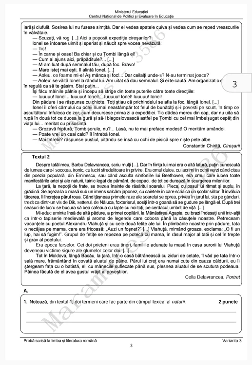 subiecte romana evaluarea nationala 2024