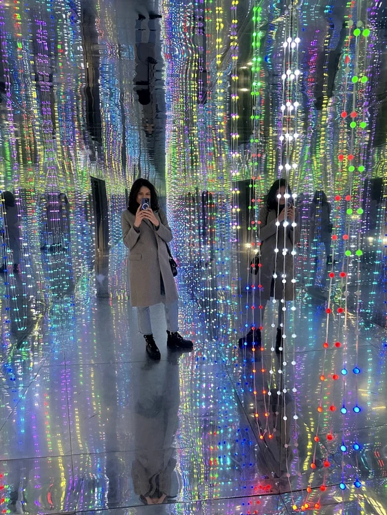 thumbnail Infinity Room Art Safari jpg