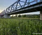 Pod feroviar la Tisa pe Valea mureșului Foto Daniel Guță ADEVĂRUL (22) jpg