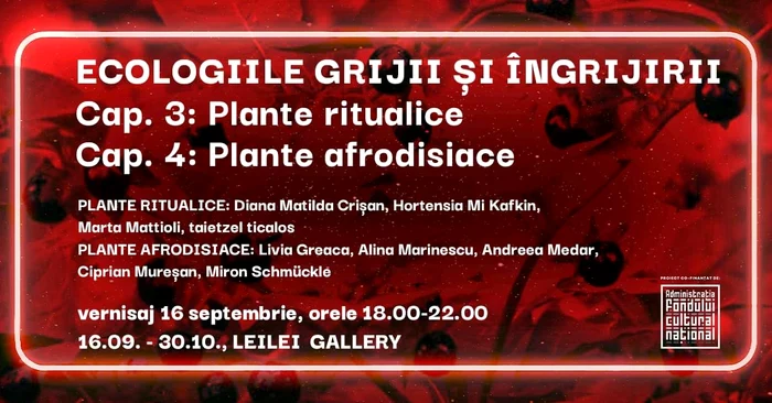 Afișul expoziției actuale. Sursa: Arhiva personală a artistei