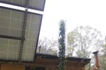 baza jos jpg