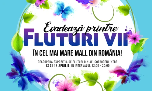 3 vizual expozitie fluturi jpg jpeg