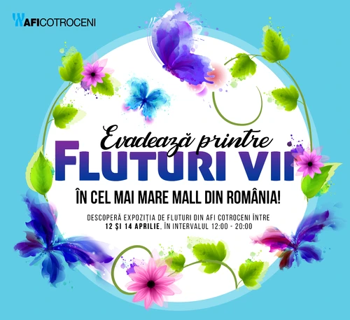 3 vizual expozitie fluturi jpg jpeg