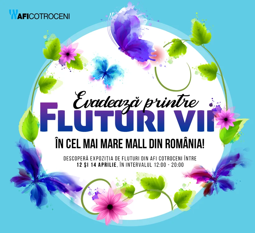 3 vizual expozitie fluturi jpg jpeg