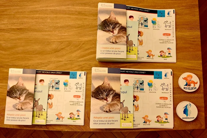 Suport de curs FOTO Facebook/ Asociația ECHO 4 Animals