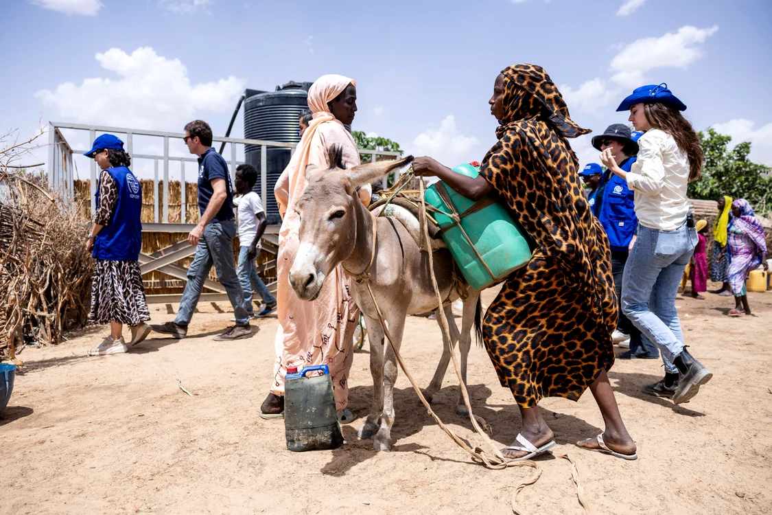 Bidoane cu apă încărcate pe spatele unui măgar în Sudan