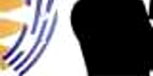 serviciile secrete olandeze