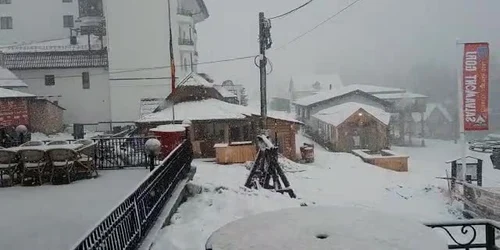 6248081c5163ec4271ee9cd5 jpg