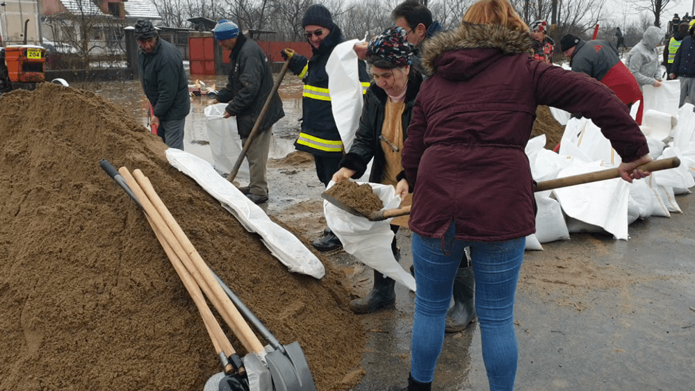Lecția de implicare a unor femei din Timiș. Au pus mâna pe lopeți și au cărat saci de nisip pentru consolidarea unui dig VIDEO 