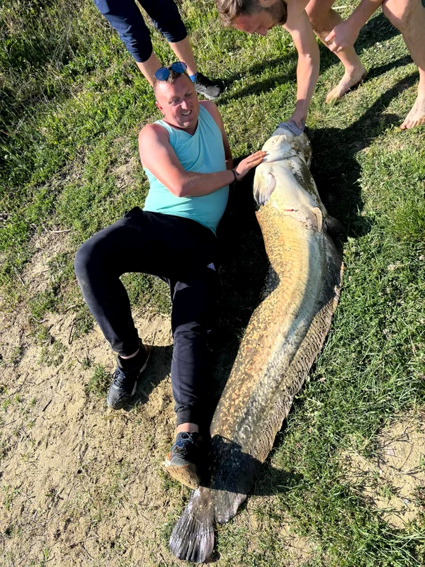 Record peste Arad 3 jpg