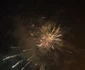 revelion vaslui