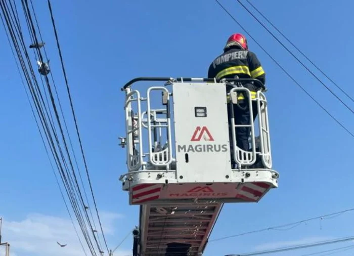 Porumbelul a fost eliberat. Foto ISU Argeş