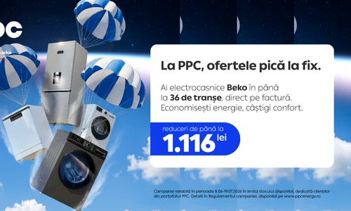 vizual campanie white goods PPC png