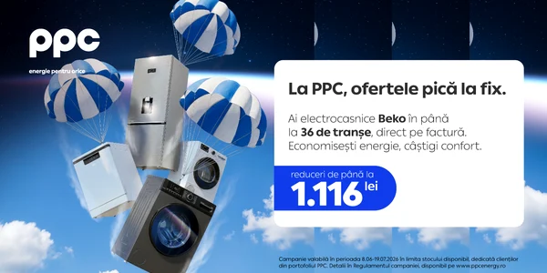 vizual campanie white goods PPC png