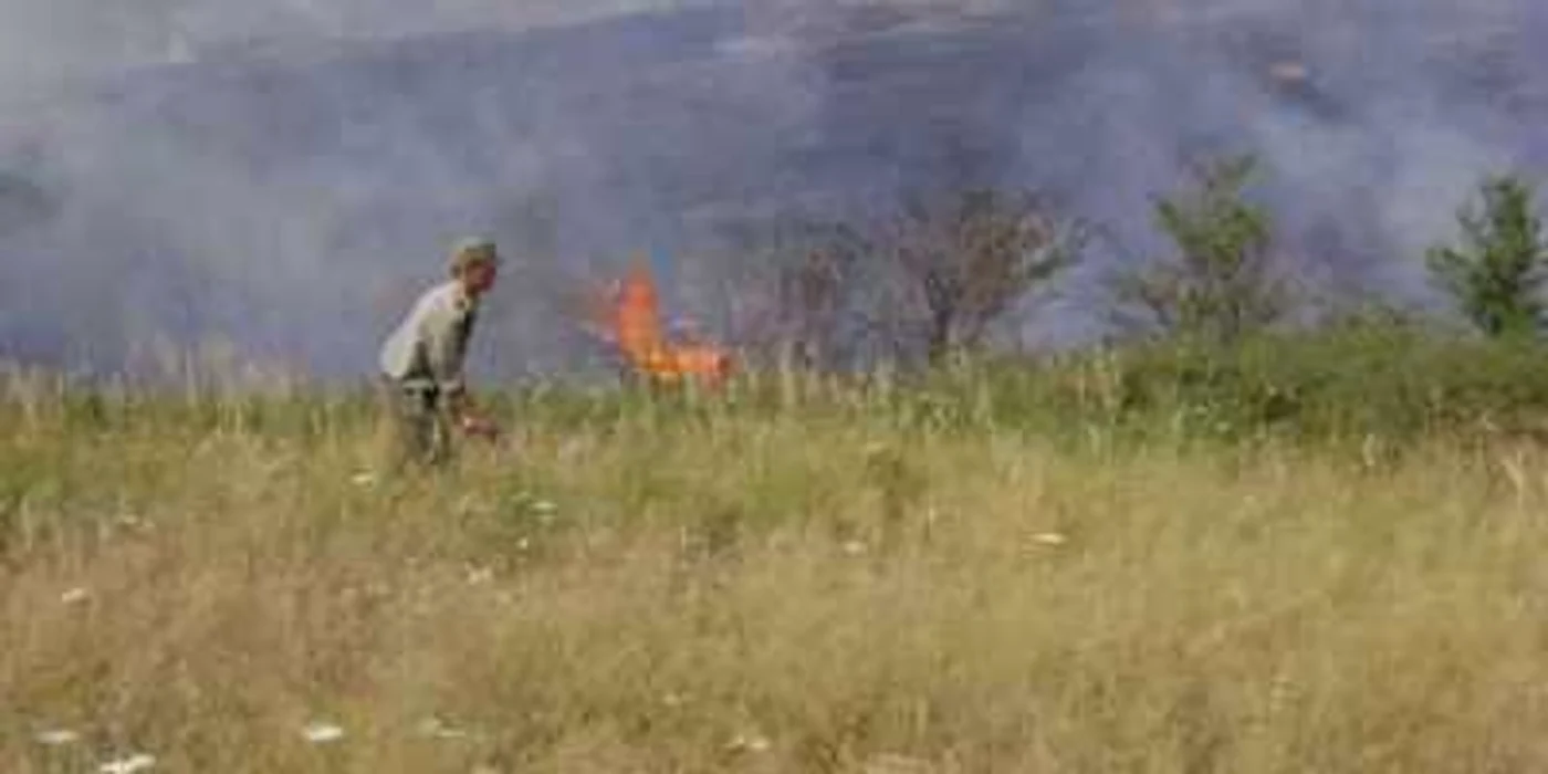Incendiul a fost lichidat în circa o oră. Foto: Arhivă