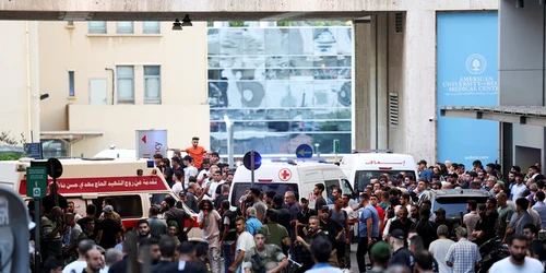 4525237 203508585 jpg