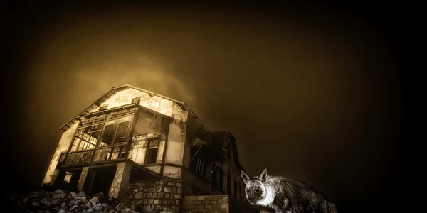 Hienă în spatele unor ruine/FOTO: Instagram @wim_van_den_heever