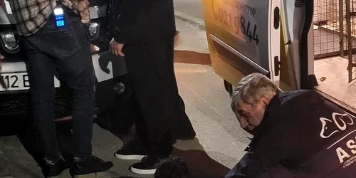 cainele batut a fost preluat de o asociate FOTO ASPA BUCURESTI jpg