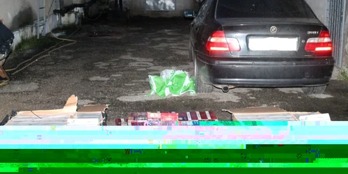 tigari confiscate de politie FOTO IPJ Mehedinti