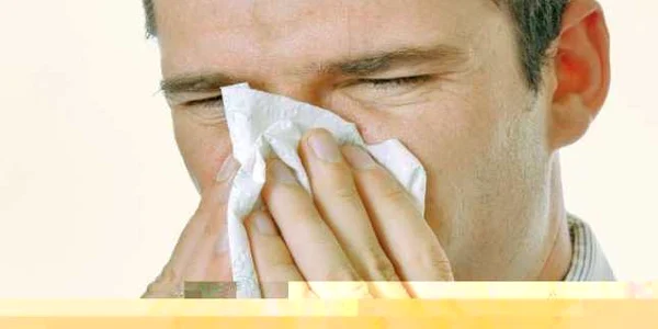 În rinita alergică, secreţiile nazale sunt clare, pe când în viroze au o culoare gălbuie    