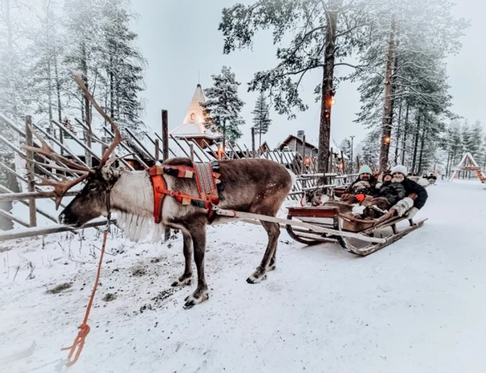 L-au vizitat pe Moș Crăciun și i-au mulțumit pentru toată magia din viața lor