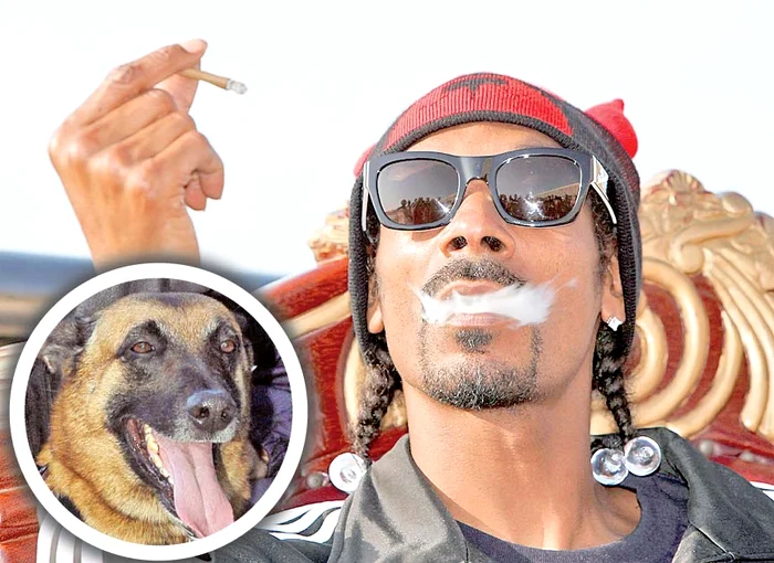 
    Snoop Dogg  