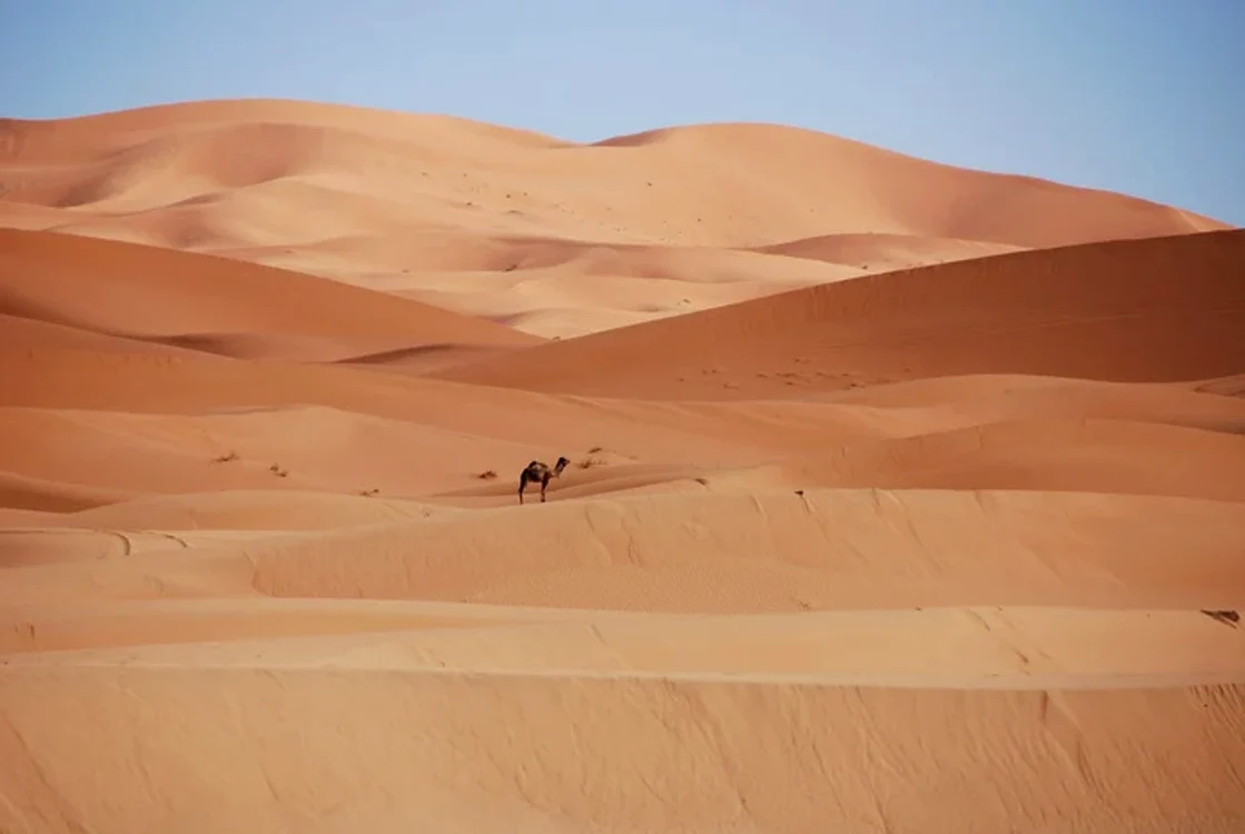 Zeci de oameni și-au pierdut viața în Sahara.