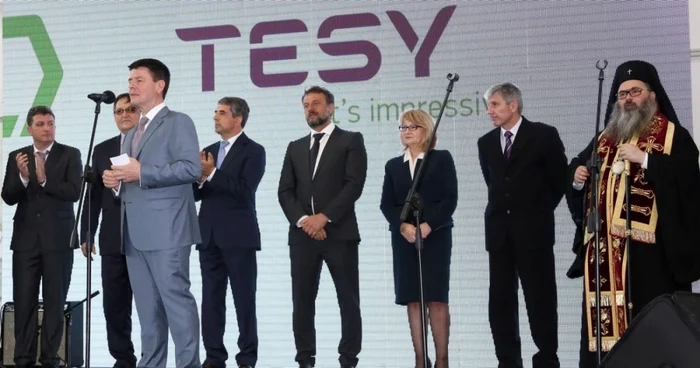 tesy