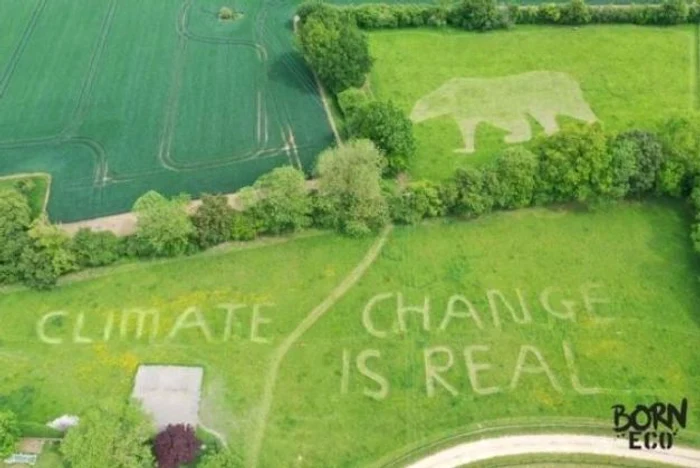Protest ecologisti Trump