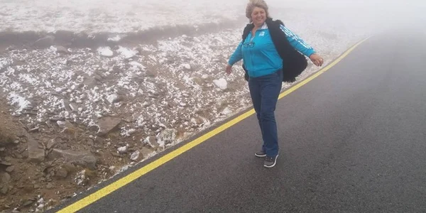 Transalpina