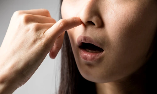 1 shutterstock 573260953 jpg jpeg