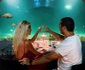 45 andreea banica sexy in maldive lucian mitrea 19 jpg jpeg