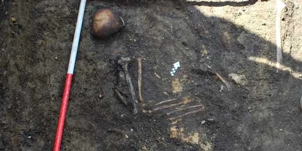 schelet descoperit de arheologi foto bistriteanul
