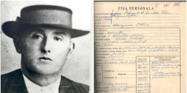 primar alba