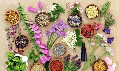 1 shutterstock 1091827718 jpg jpeg