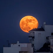 SuperLună Foto Live Science com dms jpg