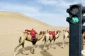 semafor camile kumtag china captura video jpg