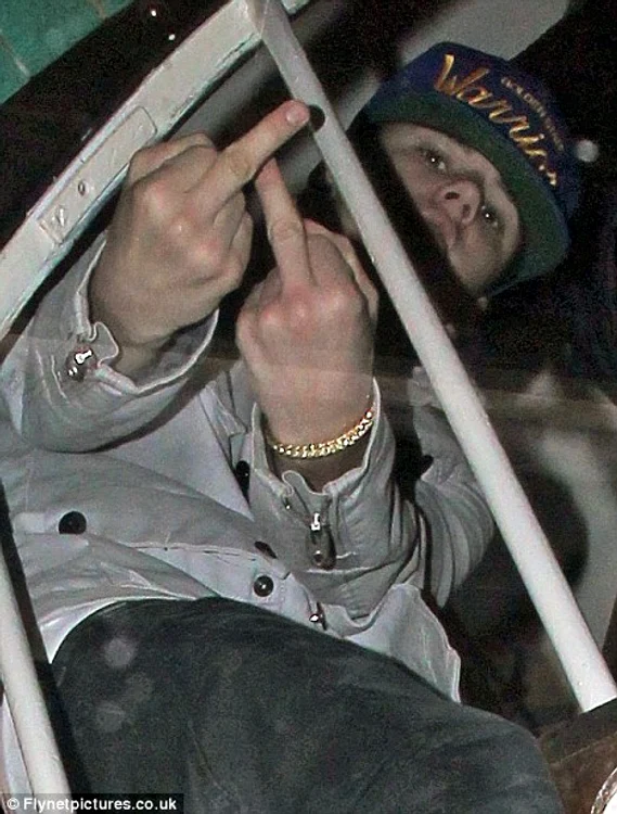 article 0 0ecf268b00000578 343 468x617 jpeg