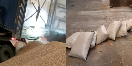 captura droguri în portul Rotterdam foto om.nl