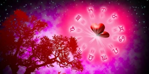 Cele patru zodii în cautare de aventură