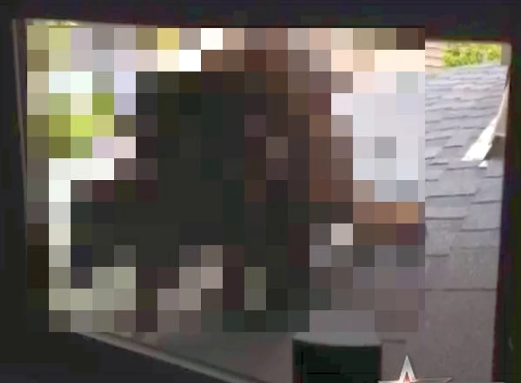 Tânărul a vrut să facă tuturor cunoscut ce a descoperit el la fereastră.