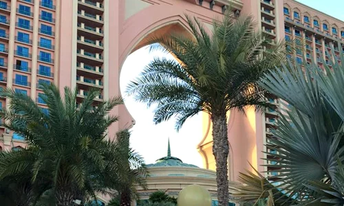 12063825 1160670010644004 1383315432251981685 n jpeg