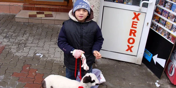 Piteşti: vasilică scos la produs
