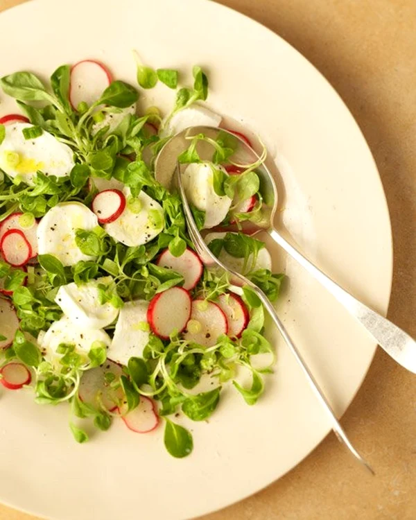 salata de ridichi cu mozarella jpeg