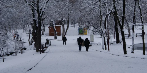 Parcul Nicolae Romanescu va fi reabilitat cu suma de 15 milioane de euro Foto