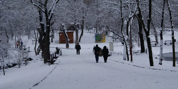 Parcul Nicolae Romanescu va fi reabilitat cu suma de 15 milioane de euro Foto