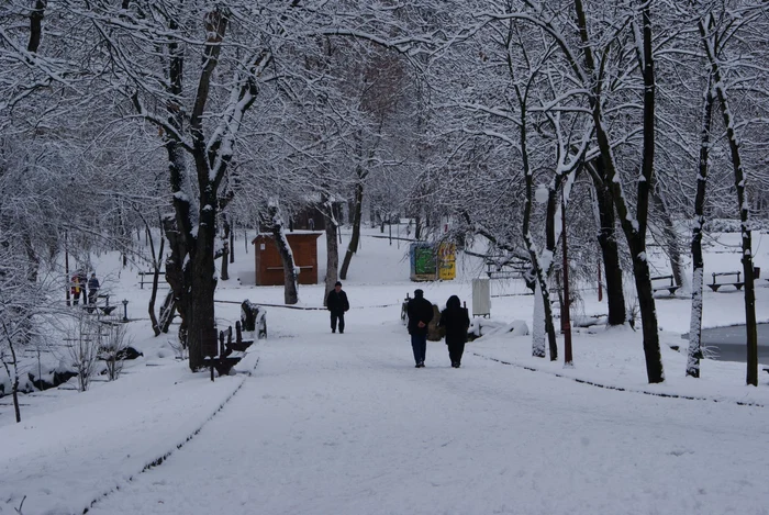 Parcul Nicolae Romanescu va fi reabilitat cu suma de 15 milioane de euro Foto: Andrei Săvulescu