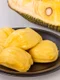 Jackfruit jpg