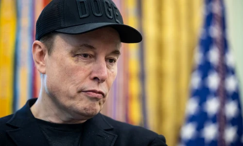 Elon Musk vanataie FOTO Profimedia